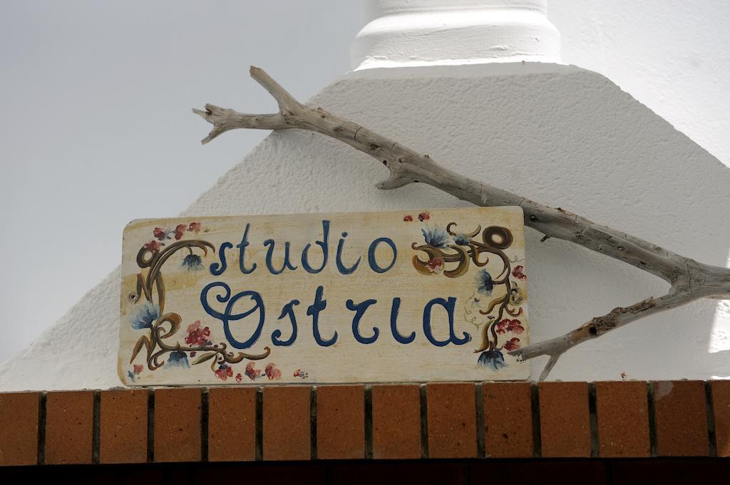 אדאמאס Ostria Studios מראה חיצוני תמונה
